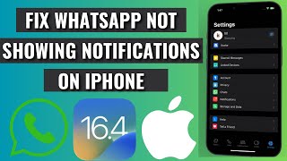 How To Fix WhatsApp Not Showing Notifications On iPhone  Fix WhatsApp Notifications [upl. by Sajovich]