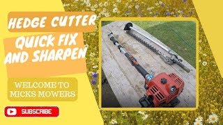 HOW TO SHARPEN HEDGE CUTTER  TRIMMER BLADES AND A QUICK LITTLE FIX [upl. by Eleon]