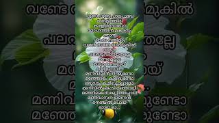 Poove Poove Paalappoove❤️Malayalam song lyrics  Song by Jayachandran and K S Chithra shorts [upl. by Gellman638]