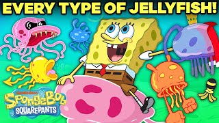 EVERY Type of Jellyfish in Bikini Bottom ⚡️  SpongeBob [upl. by Vedi]