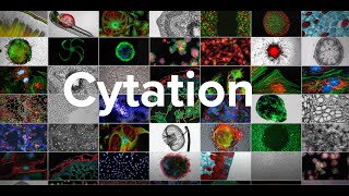 BioTek Cytation Cell Imaging Multi Mode Plate Readers  Ready For Any Assay [upl. by Nylesaj274]