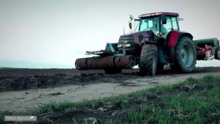 Weizen Aussaat mit CASE IH  MASCHIO  AMAZONE [upl. by Pritchard]