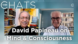 David Papineau on Consciousness Physics amp the MindBody Problem  Closer To Truth Chats [upl. by Ythomit]