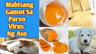 MABISANG GAMOT SA PARVO VIRUS NG ASO  HOME REMEDY  HOW TO TREAT PARVO IN DOG [upl. by Litton]