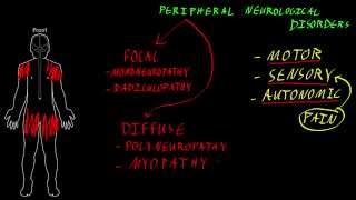 Peripheral neurological disorders [upl. by Fosque949]