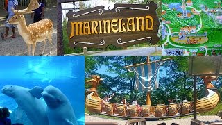 Tips for visiting Marineland in Niagara Falls [upl. by Maribeth]