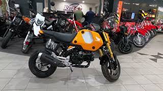 New 2024 Honda Grom Motorcycle For Sale In Myrtle Beach SC [upl. by Biel378]