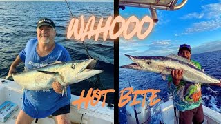 Exmouth Fishing Wahoo going OFF [upl. by Edrahs]