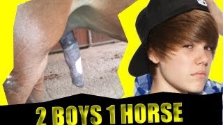 2 GUYS 1 HORSE  REAKTIONSVIDEO  HOTELACTION MIT DIE SOoCKEN [upl. by Eachelle]