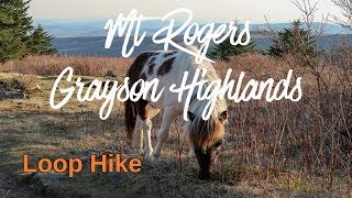 Mount RogersGrayson Highlands Loop Hike [upl. by Ynneb]