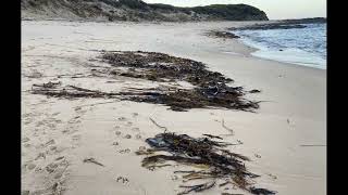 Kilcunda Beaches [upl. by Atilrak]