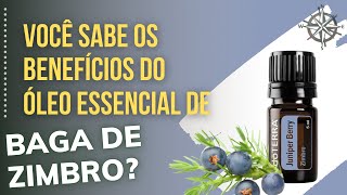 BENEFÍCIOS DO ÓLEO ESSENCIAL DE ZIMBRO para que serve o Óleo Essencial de Zimbro [upl. by Atisor]