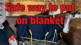 How to put on a horse blanket [upl. by Gruver834]