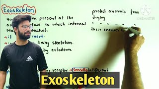 Exoskeleton  Exoskeleton class 2nd year  Fsc 2nd year biology [upl. by Amero847]