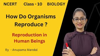 Reproduction in Human Beings Class 10 Biology Science Cha8 How do Organisms Reproduce  NCERT [upl. by Pharaoh]