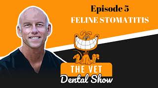 Episode 5  Feline Stomatitis [upl. by Jolyn]