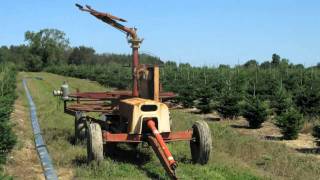 Irrigation Systems for Christmas Tree Production [upl. by Flore]