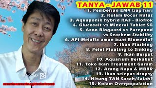 Tanya Jawab 11 [upl. by Anh]