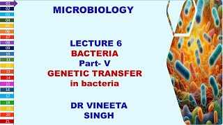 Unlocking Bacterial Secrets Conjugation Transformation and Transduction [upl. by Persons]