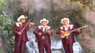 Los Auténticos de Hidalgo  El baile del compadre [upl. by Streeter]