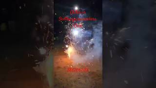 💥🤩starvel emu egg Senthanguru crackers🎇🎆shorts crackerssivakasi [upl. by Ymmij275]