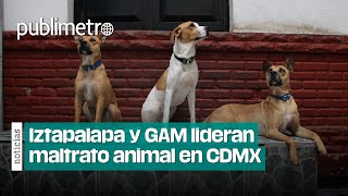 ¡Ni los perros se salvan Iztapalapa y GAM lideran maltrato animal en CDMX [upl. by Eniron]