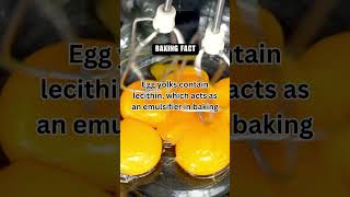 Baking Chemistry The Yolks Emulsifying Power 🥚 [upl. by Atsyrt]