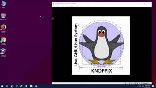 KNOPPIX install in virtualbox [upl. by Neyrb]