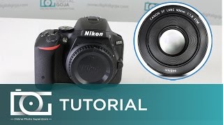 NIKON D5500 TUTORIAL  Can I Use Canon Lenses With This Camera [upl. by Vera]