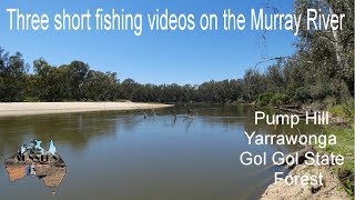 Three Short Fishing Videos while fishing on the Murray River Mildura Yarrawonga and Gol Gol [upl. by Ignatz780]