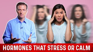 Stress amp Anti Stress Hormones Cortisol amp Serotonin Explained By DrBerg [upl. by Adnoved]