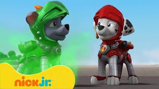 PAW Patrol  PAW Patrol werden zu Rittern um Drachen und Dinosaurier zu bekämpfen  Nick Jr [upl. by Anatak]