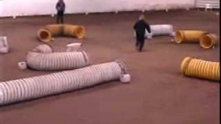 First Tunnelers Qualifying Run in Agility [upl. by Chader]