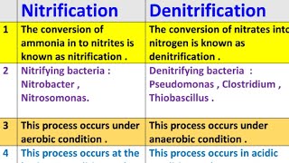 difference bwteen nitrification and denitrification  nitrification vs denitrification [upl. by Aizatsana]