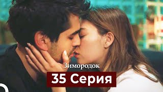 Зимородок 35 Cерия Русский дубляж [upl. by Avin]