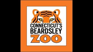 Connecticuts Beardsley Zoo Full Tour 2024 [upl. by Killam]