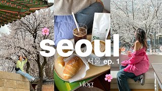 7 days in seoul 🌸 [upl. by Arly512]