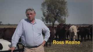 Ross Keane TV Commercial for Shorthorn Cattle [upl. by Wera738]