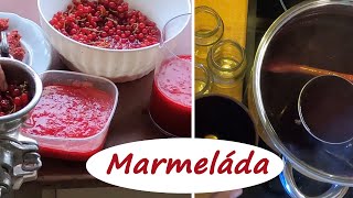 Domácí rybízová marmeláda RECEPT  Vaříme s Kubíčkem RECEPT 3 [upl. by Bell]