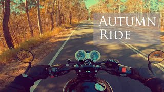 Triumph Bonneville T120 Black 2023 Model  Pure exhaust sound  ASMR [upl. by Nylrak]