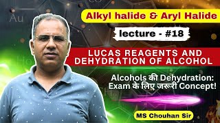 Lucas Reagents and Dehydration of Alcohol Part1  Lecture 18  Hindi  IIT JEE ADV OC MS Chouhan [upl. by Latashia466]