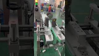 Checkweigher check weigher machine with bottle clamp [upl. by Acirat]