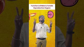 Functions of Male amp Female Reproductive Organs Class 10th Biology Sachin Sir Biology Wala [upl. by Annavaj608]