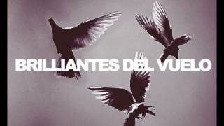 Brilliantes del Vuelo  As a Dove Version [upl. by Hepsiba]