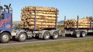 Trucks on Westshore turnoff near Napier Airport part 2 [upl. by Quillon]