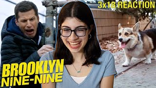 Cheddar A Criminal Mastermind Brooklyn NineNine 3x18 Reaction [upl. by Ahto]