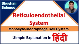 Reticuloendothelial System Monocyte Macrophage Cell System in Hindi  Bhushan Science [upl. by Ydospahr]