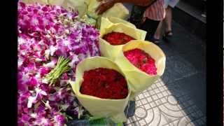 The most beautiful Flowers in the world in Bangkok Thailand [upl. by Colan]