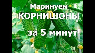 Как мариновать ОГУРЦЫ КОРНИШОНЫ ВКУСНО ХРУСТЯЩИЕ ОГУРЦЫ Быстрый рецепт огурцы в микроволновке [upl. by Nairdna]