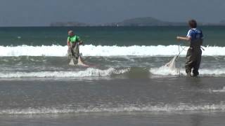 Visit Pembrokeshire  Seine Fishing [upl. by Winograd]